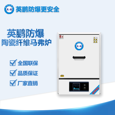 大理核电站防爆马沸炉陶瓷纤维BYP-900GX-36/14MFG