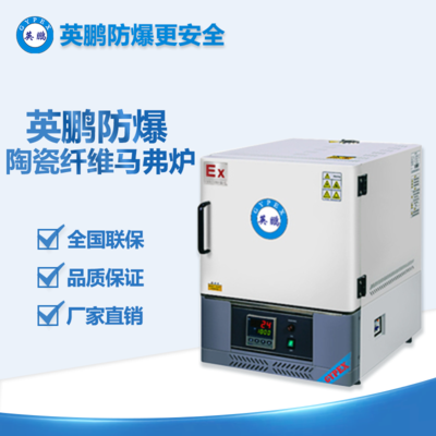 北京医疗防爆马沸炉陶瓷纤维BYP-900GX-36/10MF
